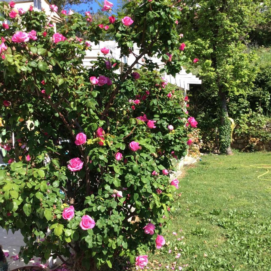 Bienvenue Chez Alain Et Marie Apartment Antibes Bagian luar foto